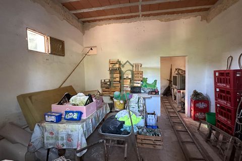 Ruïna a Ostuni, Brindisi, Ostuni - € 43.000 | Ref: Lamia Vite - foto 4